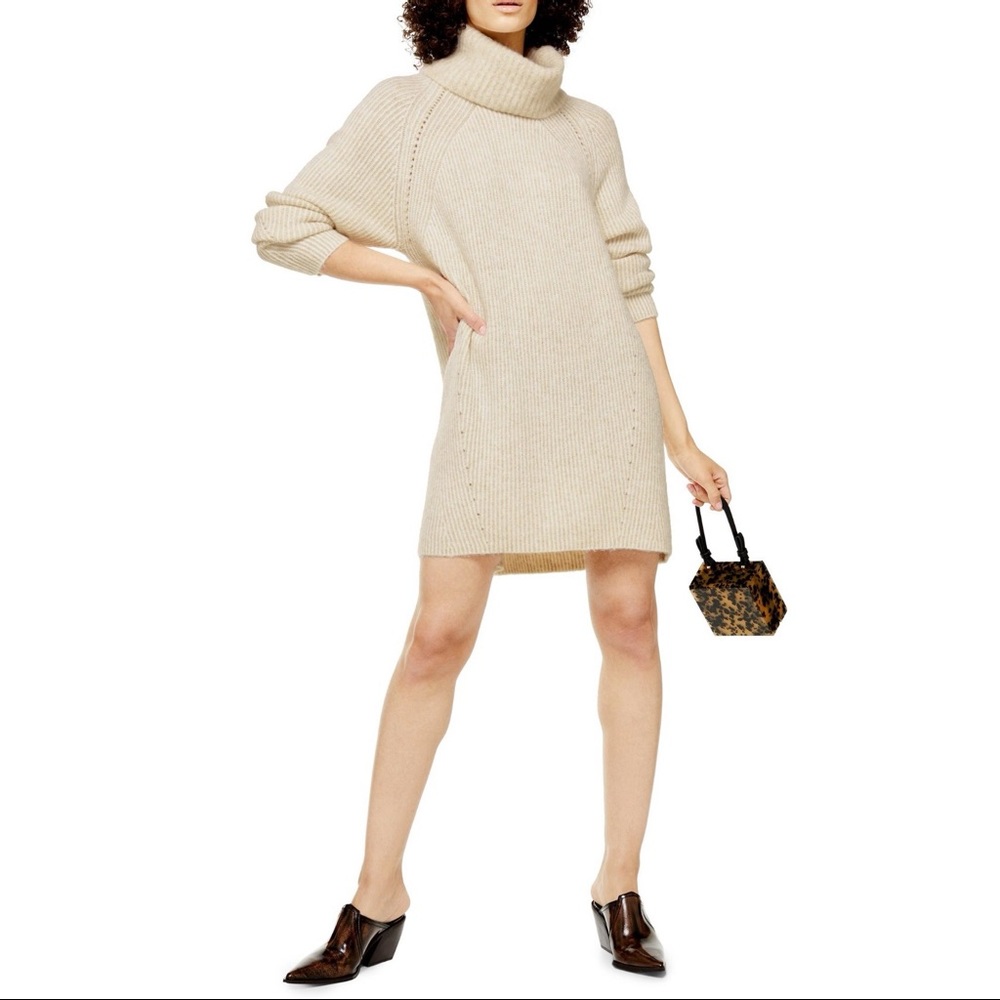 Topshop Turtleneck Knit Sweater Dress